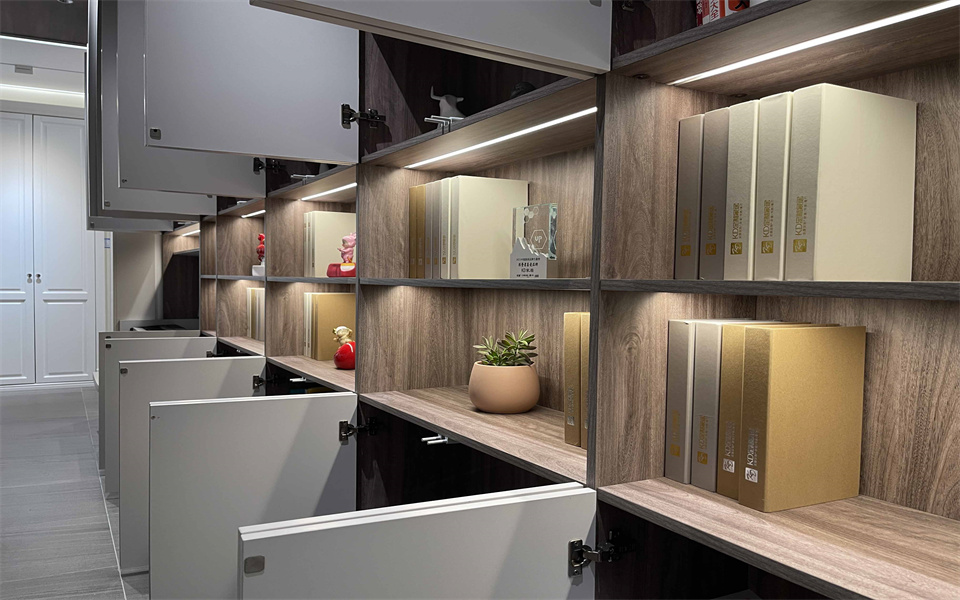 bevictor伟德钻石客户KD定制家居 始于颜值 终于品质