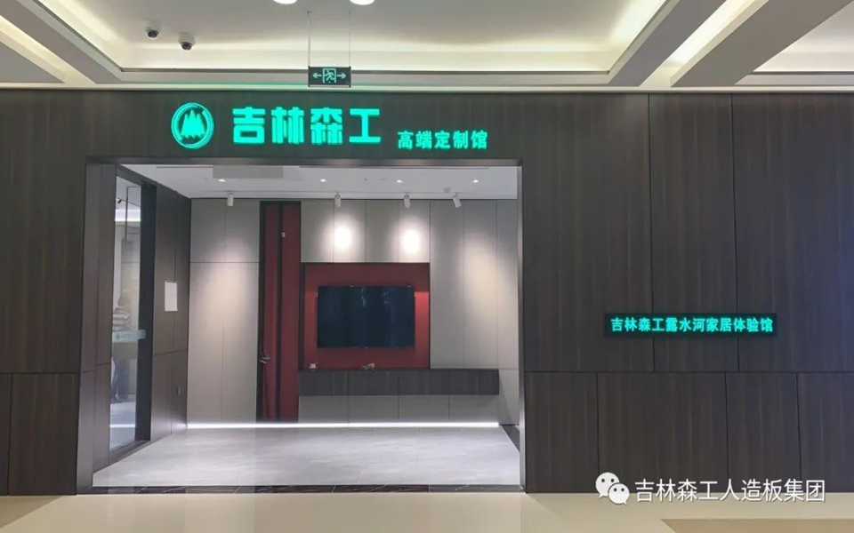 bevictor伟德全屋定制专卖店---2022火热招商