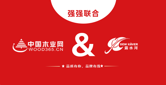 强强联合 bevictor伟德和中国木业网达成战略合作